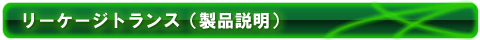 リーケージトランスの説明